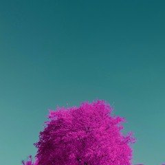 Hopeless (Oh Well) [Prod. IOF]