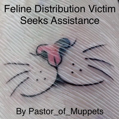Feline Distribution System Victim Seeks Assistance By Pastor Of Muppets