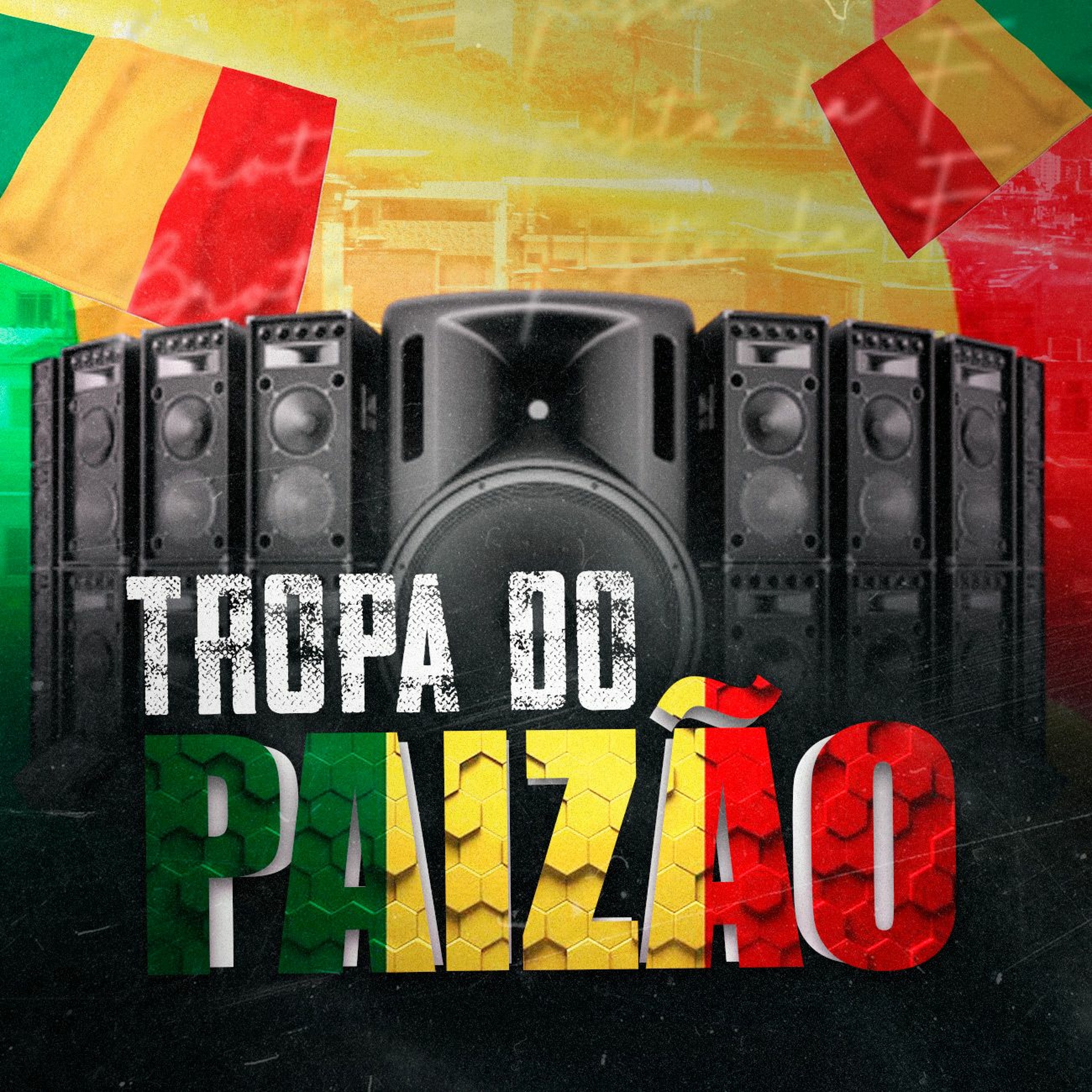 TROPA DO PAIZÃO - BAILE DE MALI episode artwork