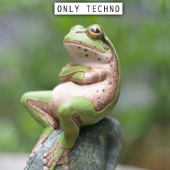 Just arrive at the Techno Stage