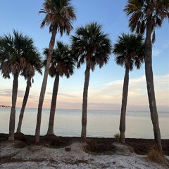 Alex Blanks presents MOTION 012