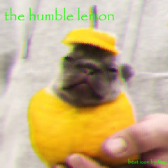 The Humble Lemon