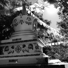 NonLocal - Temple Of Cessation