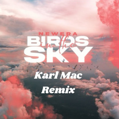 NewEra - Birds In The Sky (Karl Mac Remix)