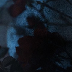 Les mondes imaginaires