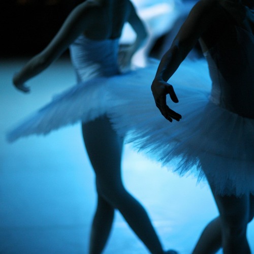 dima&max