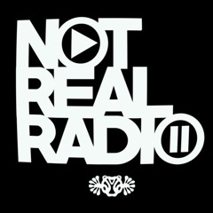 Not Real Playlist