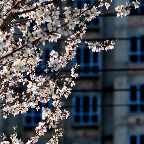 ترنيمة اوهام  جانا اسحق كرمي