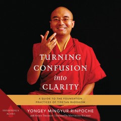 PDF_⚡ Turning Confusion into Clarity: A Guide to the Foundation Practices of Tib