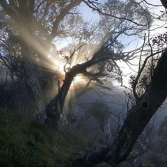 ★,｡･:*:･ﾟ☆cristales del pasado (feat. babyxan)