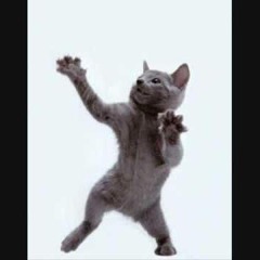 Paradisio – Bailando (DJ CACHONDO REMIX) *PITCHED -1 DUE TO COPYRIGHT*