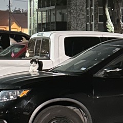 have you ever felt like this --> =_= before ?