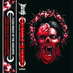 WRITHING SHADOWS: SEVERED LIMBS REFLECT