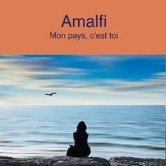 Mon pays c'est toi