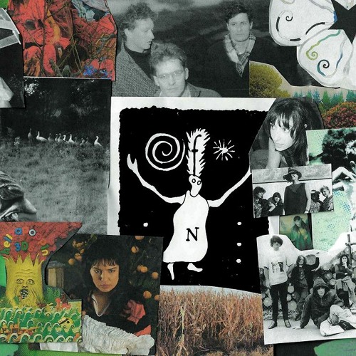 Down at the End of the Garden w/ Flying Nun Records 030624
