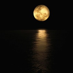 Hey Moonlight I Love You