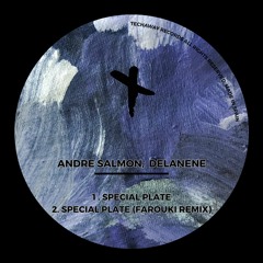 Andre Salmon, Delanene - Special Plate (Farouki Remix)_TEC233