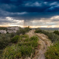 Panhandle Afield: Trail Trek