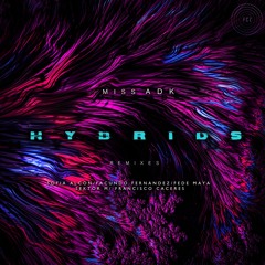 Miss ADK - Hybrids (Facundo Fernandez Remix) (preview)