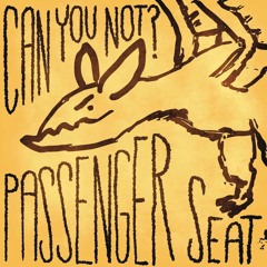 Can You Not? – Passenger Seat