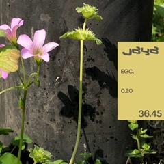 [EGC0.20] jaya > 36:45