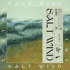 Salt Wind