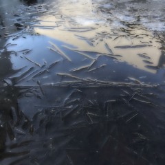 waterbody