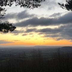 UpLift (The Movement mix)