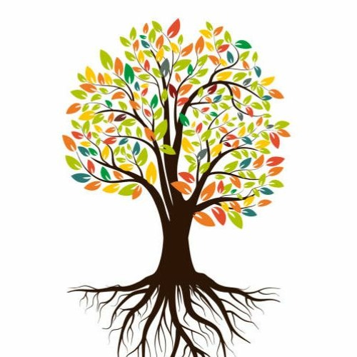 محفوظات – لقاءات اذاعية  : 02 - مع الدكتور عمر عبد الكافي - العلاقة المطلوبة بين الدعاة