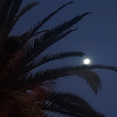 love freestyle 3 prod 6narle jetta