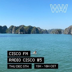 Cisco FM on We Are Various