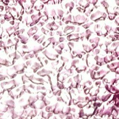 LIVE 2 Oct. 2022 - PARTNERS