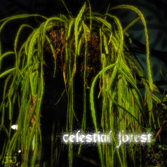 SACR3D TR33 (ft. Young Tri$to)