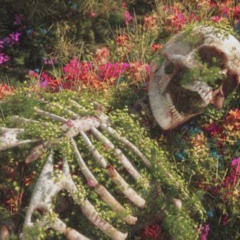 Graveyard Shift [DEMO]