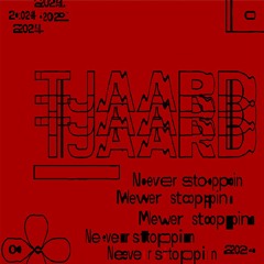 Tjaard - Never Stoppin'