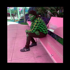 GVINTVGE + END : eVoL MoDe