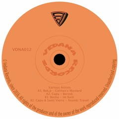[VDNA012] Various - Colman's Mustard EP [snippet]