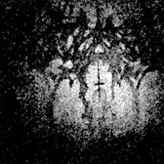 bunii - wishing