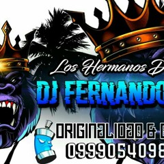 DJ FERNANDO RMX FT ANIMACION EL IMPARABLE EJ JUNIOR
