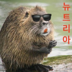 뉴트리아 (Yellow knife, Broken leg)