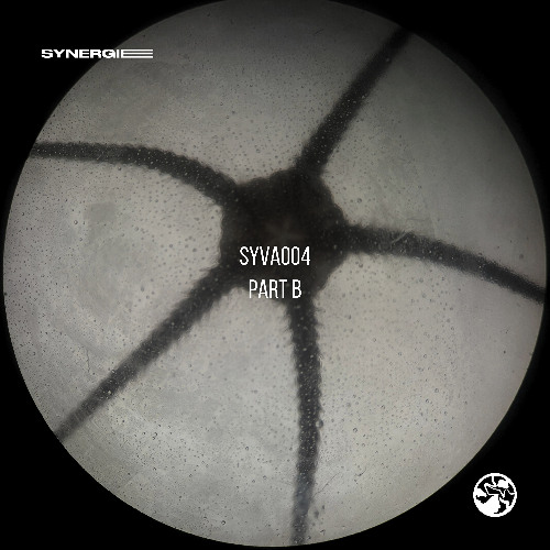 Larsson - Gardens Street [SYVA004B]