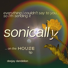 everything i couldn't say so i'm sending it sonically