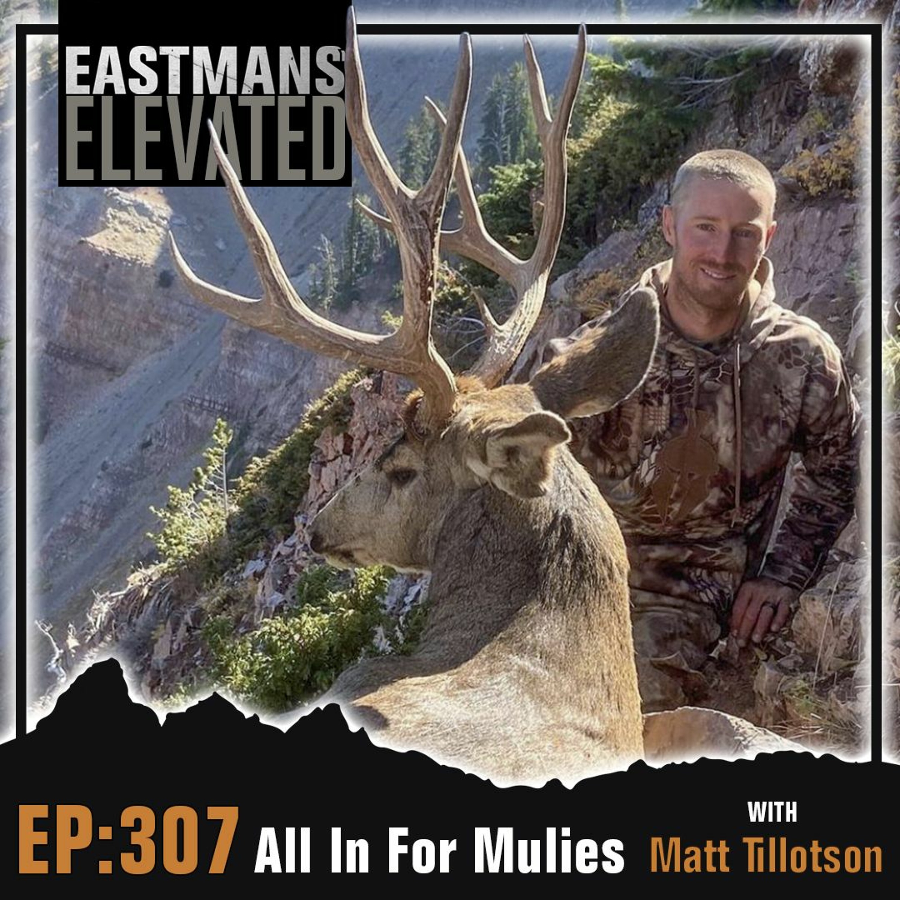 Episode 307: All In For Mulies with Matt Tillotson