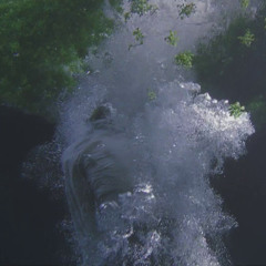 SPRING - 1LDK (SALAMANDAR REMIX)