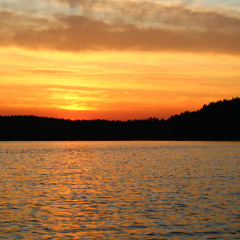 Easy lover X Pjanoo X Don't stop