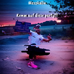 Komm auf diese Party 165er