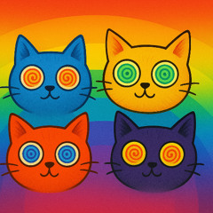 KRAUS - minimal house e t c