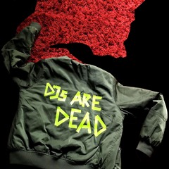 DJs Are Dead - Lesung @Kalif Storch / Herbstlese Erfurt - Teil 3 Guten Morgen Berlin