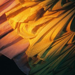 Live at Moniker '25 - Mikalah Watego