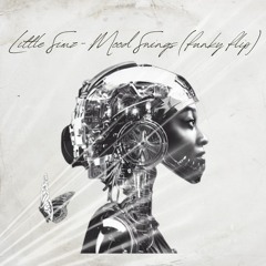Little Simz - MOOD SWINGS (Handsome Tiger Funky Flip)